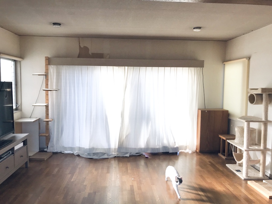 壁紙 張り替え DIY セルフ リフォーム 猫のいる暮らし 初心者