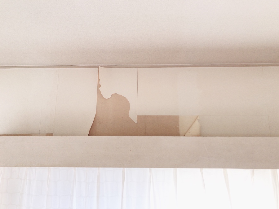壁紙 張り替え DIY セルフ リフォーム 猫のいる暮らし 初心者