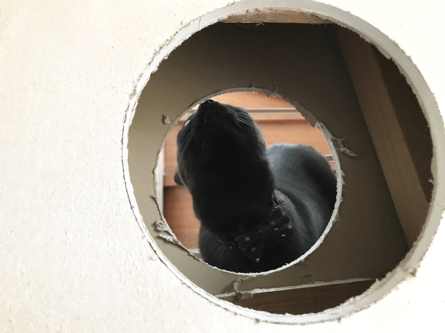石膏ボード 穴あけ 丸,猫トンネル 作り方,猫の通り道 作り方