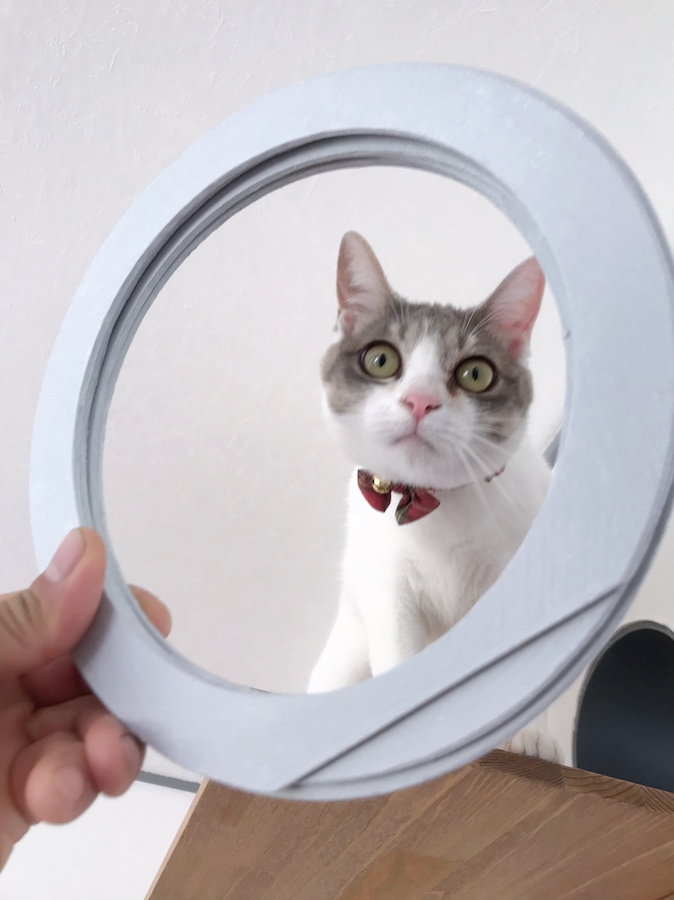 ねこつき一戸建て 猫との暮らし 猫トンネル 自作 DIY