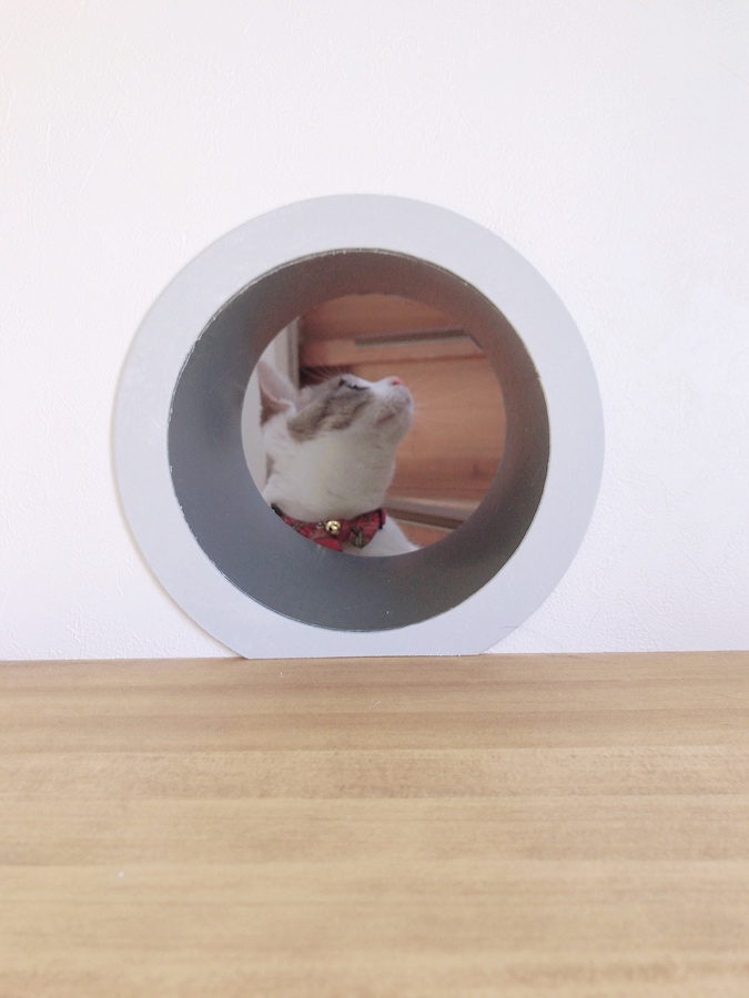 ねこつき一戸建て 猫との暮らし 猫トンネル 自作 DIY